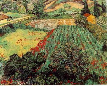 Vincent Van Gogh : Field with Poppies II